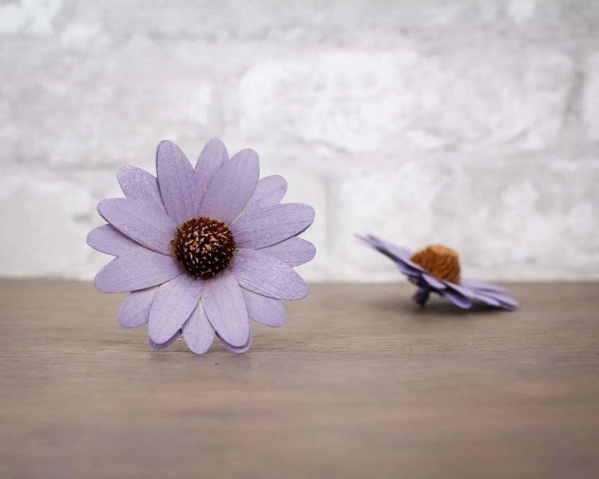 3" Light Purple Daisy (10 Pack)