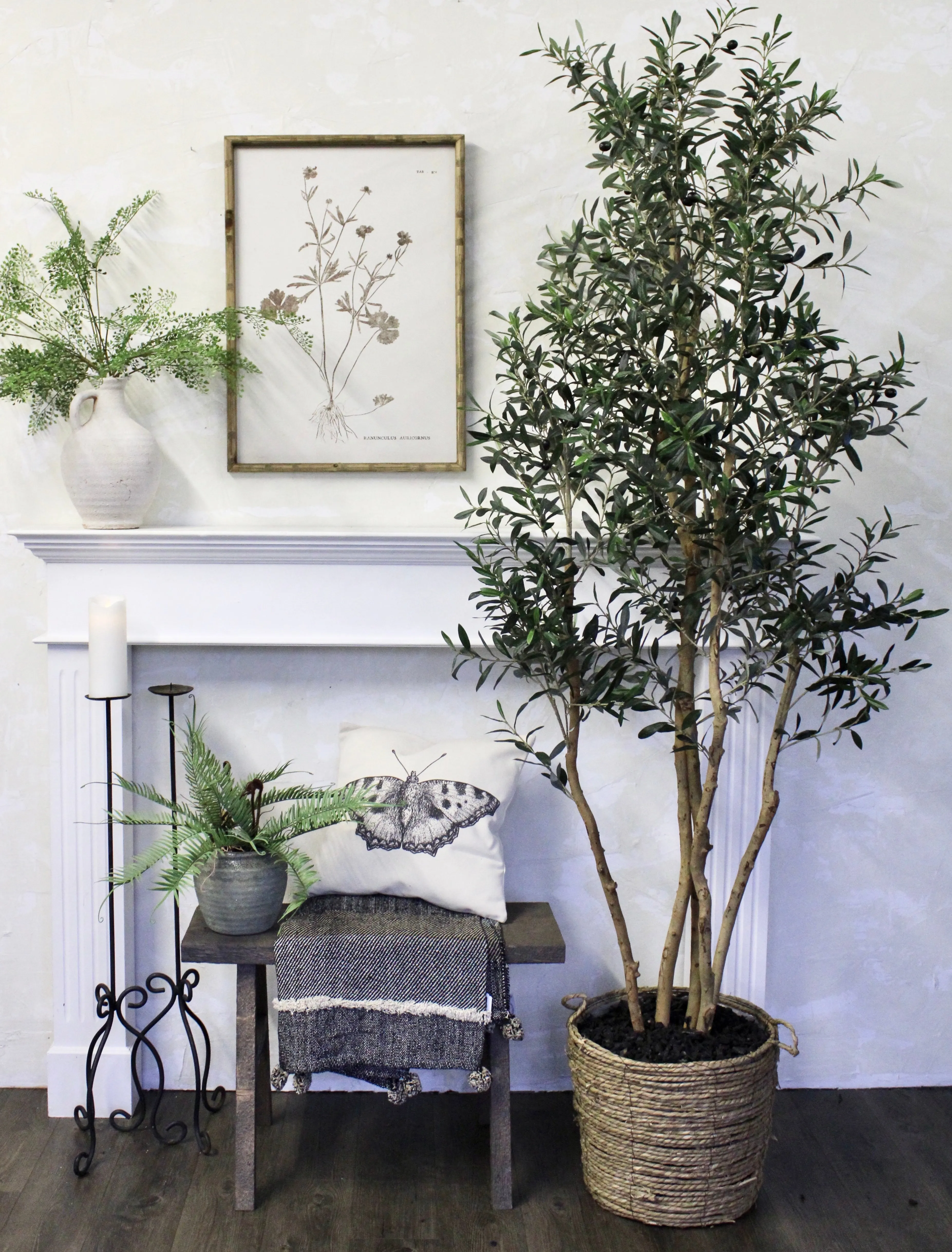 7.5’ Natural Trunk Olive Tree