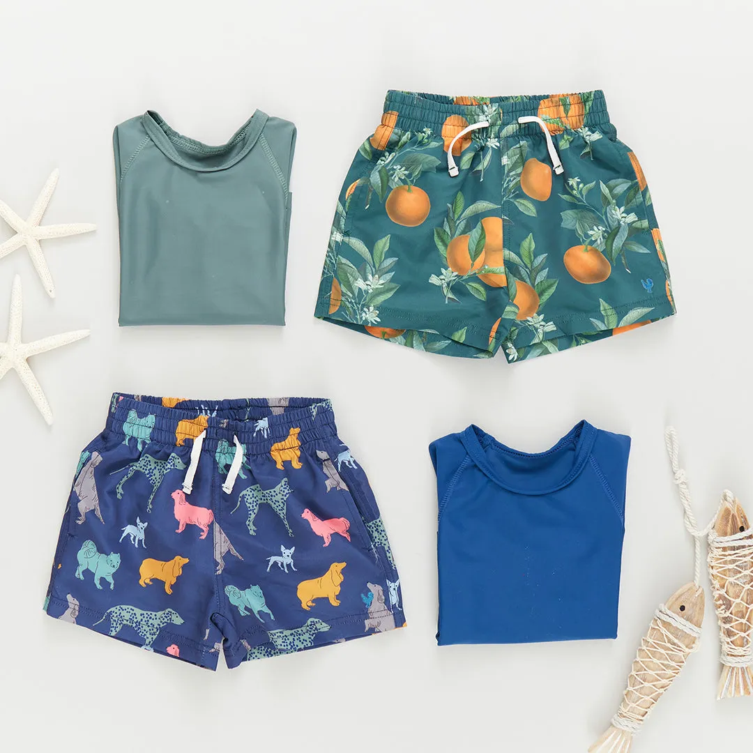 Baby Boys Swim Trunk - Navy Dogs