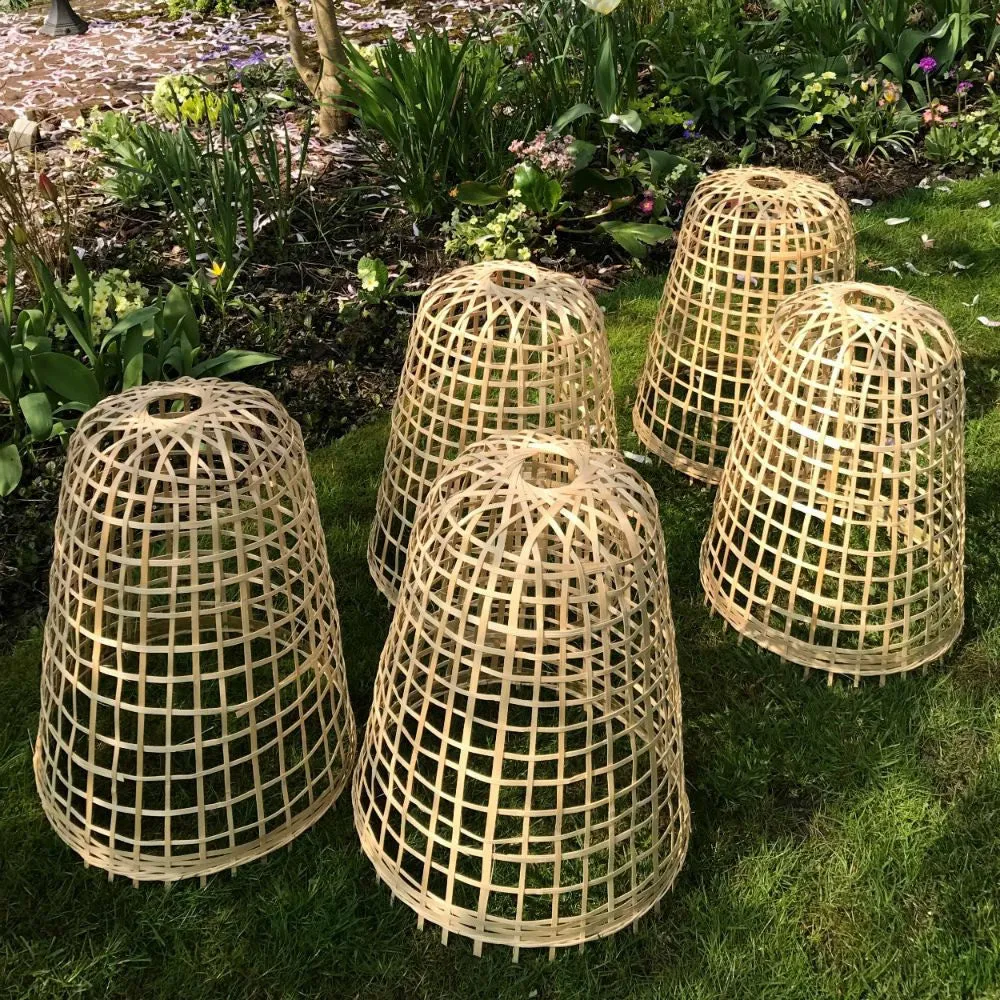 Bamboo Bell Cloche & Garden Plant Protection Cover - Medium