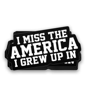 I Miss The America I Grew Up In Decal