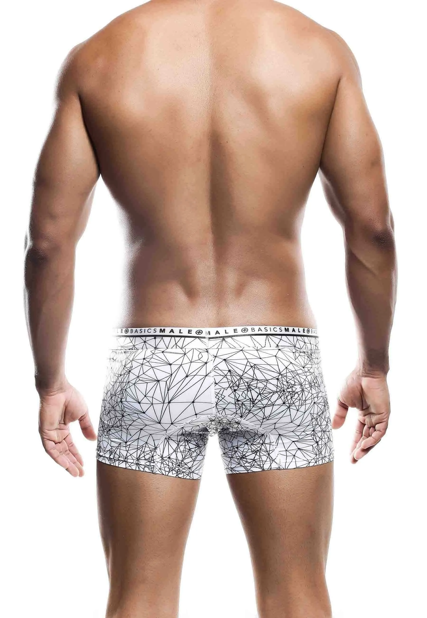 Malebasics New Hipster Trunk Spider