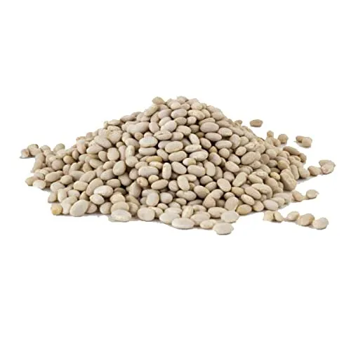 Mountain High Organics - Certified Organic Navy Beans 6 Gallon/40lb Bucket