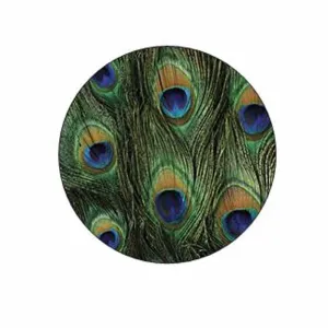 Peacock Print Stickers
