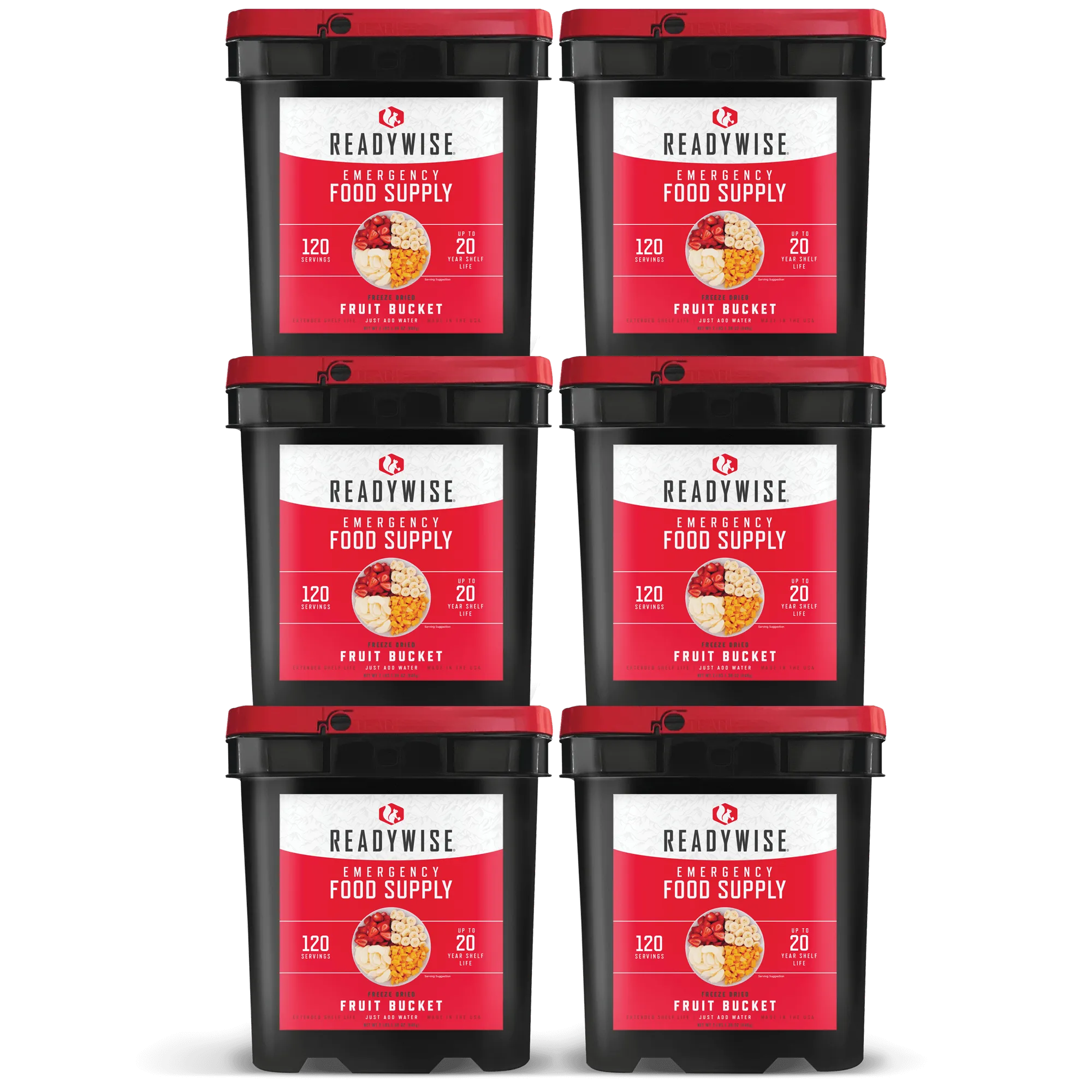ReadyWise - 120 Serving Freeze Dried Fruit Bucket - 6 Pack