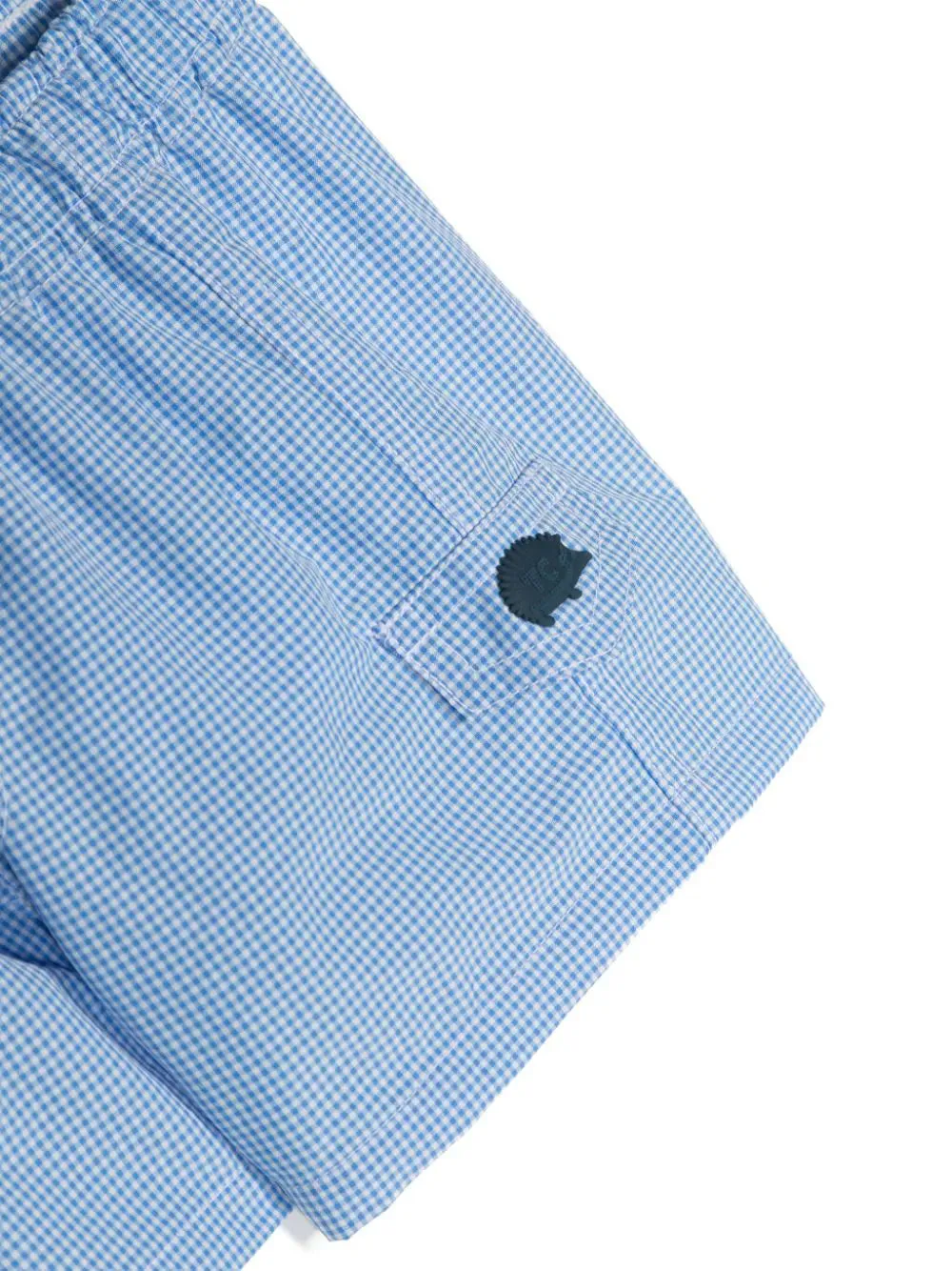 TAR Lava Blue Gingham Trunks